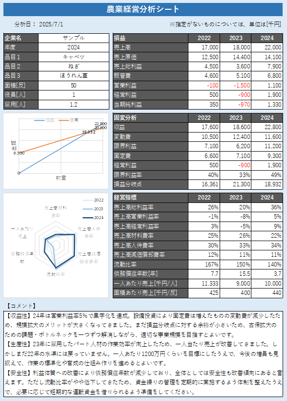 経営診断レポートのサンプル