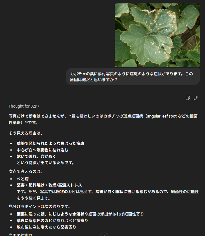 ChatGPTによる病害診断の例